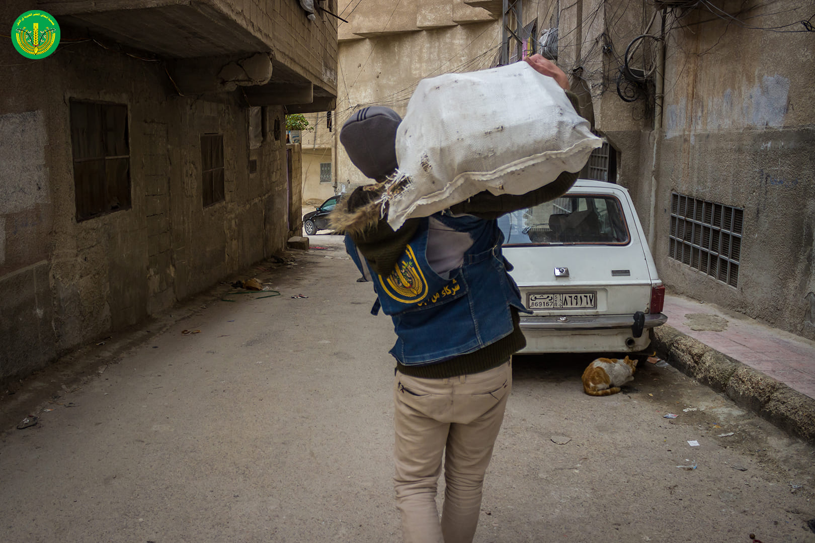 كخلية نحل نعمل بلا كلل ولا تعب في حلب